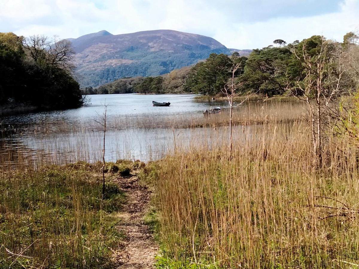 Larkfield House B&B, Ballycasheen Kerry V93 Wd51 Килларни Экстерьер фото