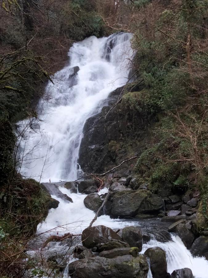 Larkfield House B&B, Ballycasheen Kerry V93 Wd51 Килларни Экстерьер фото