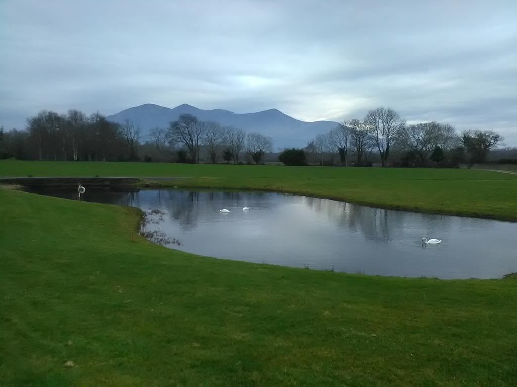 Larkfield House B&B, Ballycasheen Kerry V93 Wd51 Килларни Экстерьер фото