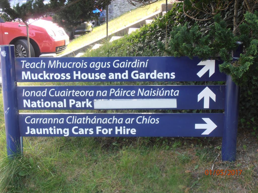 Larkfield House B&B, Ballycasheen Kerry V93 Wd51 Килларни Экстерьер фото