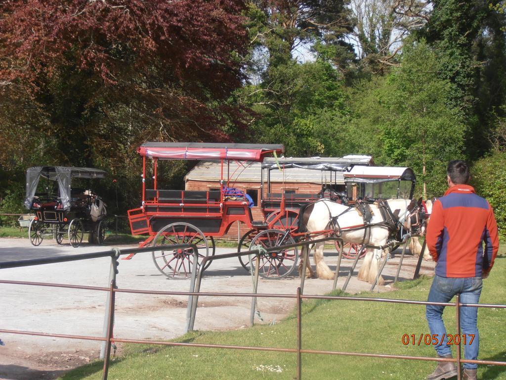 Larkfield House B&B, Ballycasheen Kerry V93 Wd51 Килларни Экстерьер фото