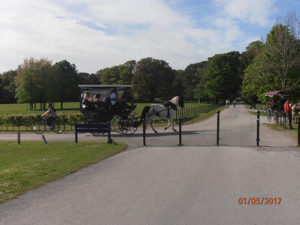 Larkfield House B&B, Ballycasheen Kerry V93 Wd51 Килларни Экстерьер фото