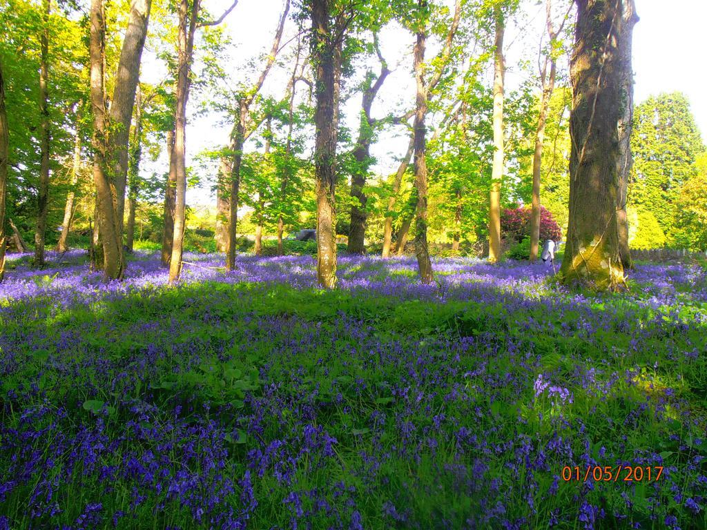 Larkfield House B&B, Ballycasheen Kerry V93 Wd51 Килларни Экстерьер фото