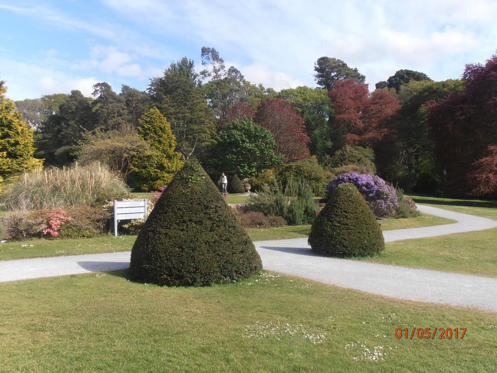 Larkfield House B&B, Ballycasheen Kerry V93 Wd51 Килларни Экстерьер фото